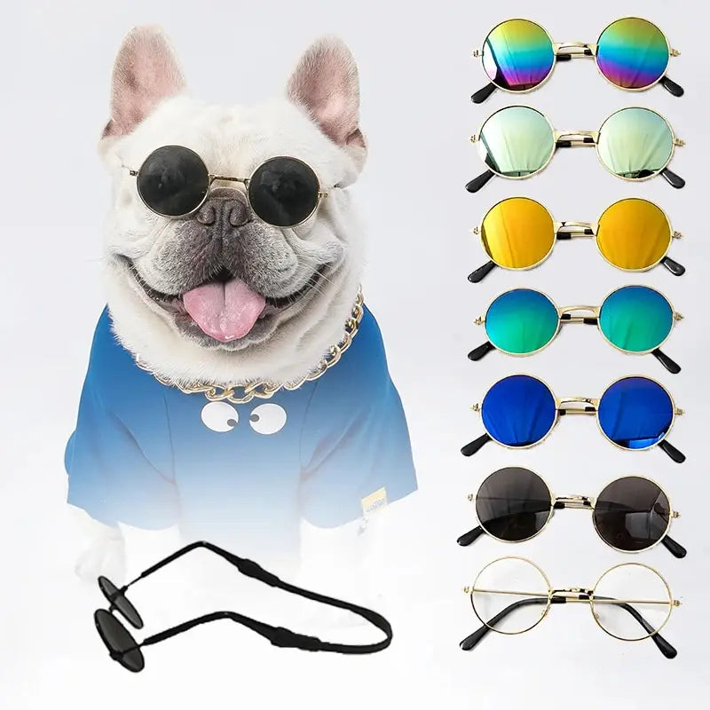 Para cães e gatos, acessórios para animais de estimação óculos de sol.